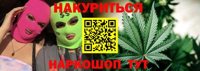 прущие грибы Можга