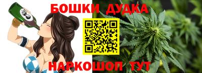 стаф Моздок